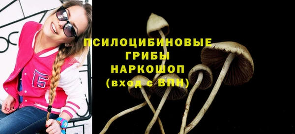 круглые Бронницы