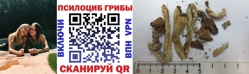 Псилоцибиновые грибы Magic Shrooms  blacksprut как войти  Краснодар 